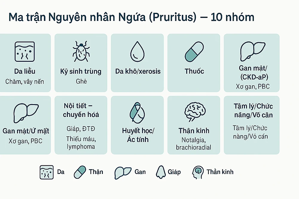 Ma trận 10 nguyên nhân ngứa theo hệ cơ quan.
