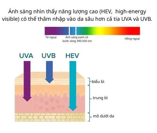 sơ đồ phổ bảo vệ kem chống nắng gồm UVA, UVB và ánh sáng khả kiến
