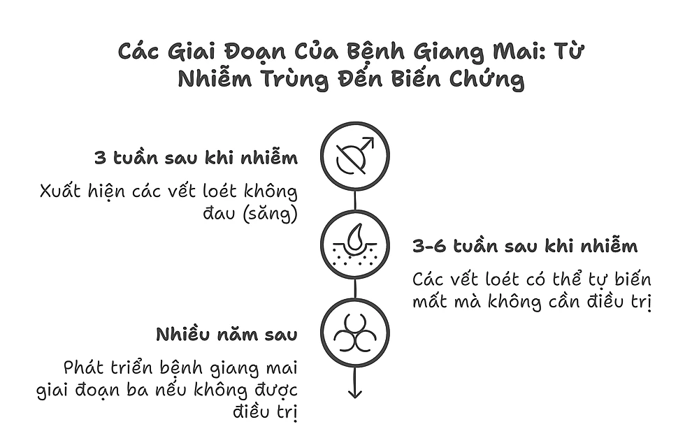 Các Giai Đoạn Giang Mai