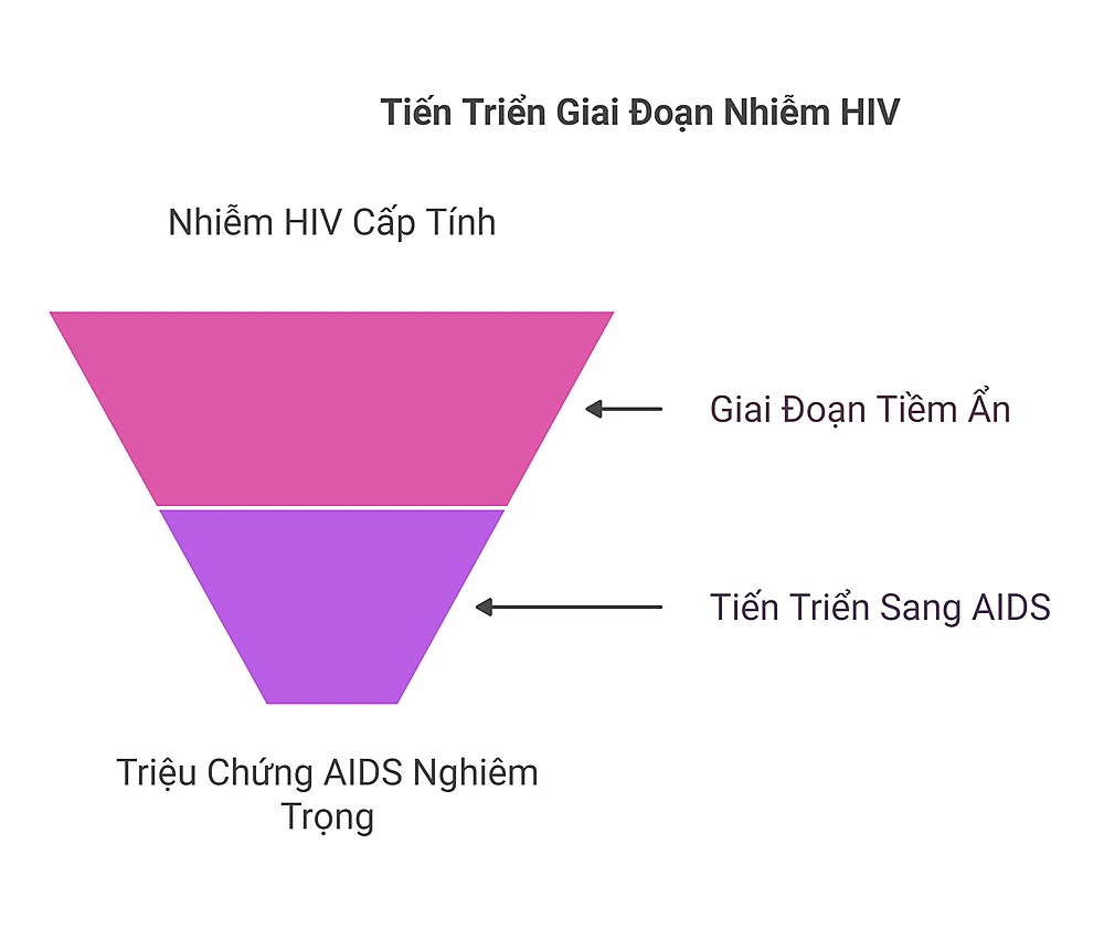 Các Giai Đoạn Nhiễm HIV