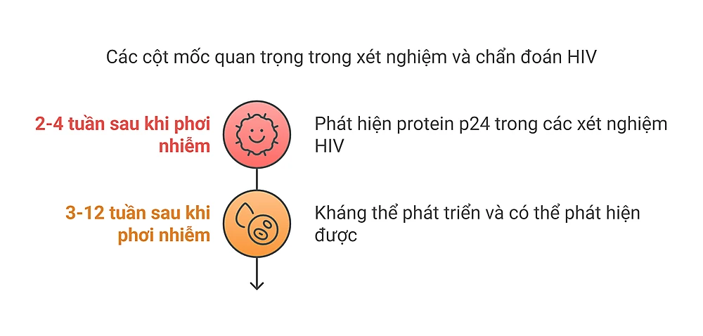 Các Mốc Thời Gian Xét Nghiệm HIV