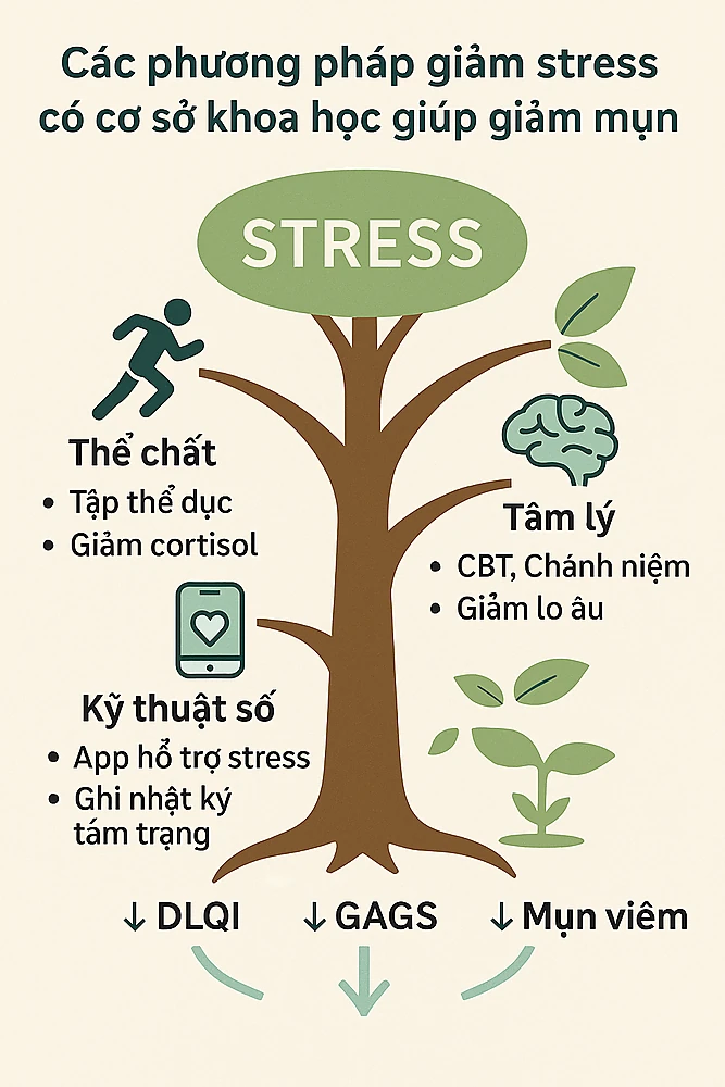Các phương pháp giảm stress có cơ sở khoa học giúp giảm mụn