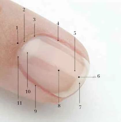 Các thành phần của đơn vị móng