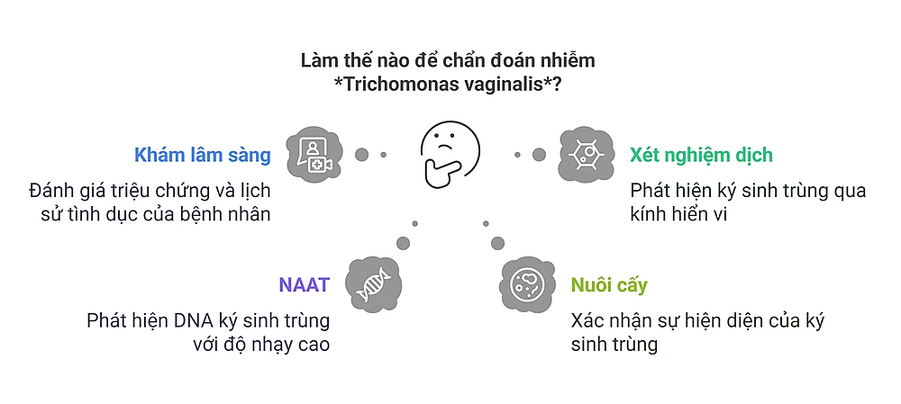 Chẩn Đoán Nhiễm Trichomonas