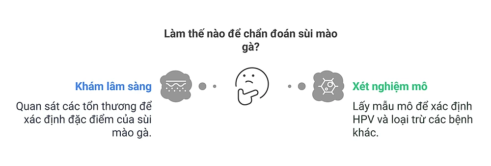 Chẩn Đoán Sùi Mào Gà