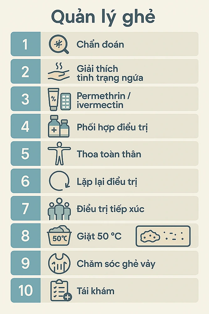  Infographic 10 bước điều trị bệnh ghẻ: từ chẩn đoán đến tái khám