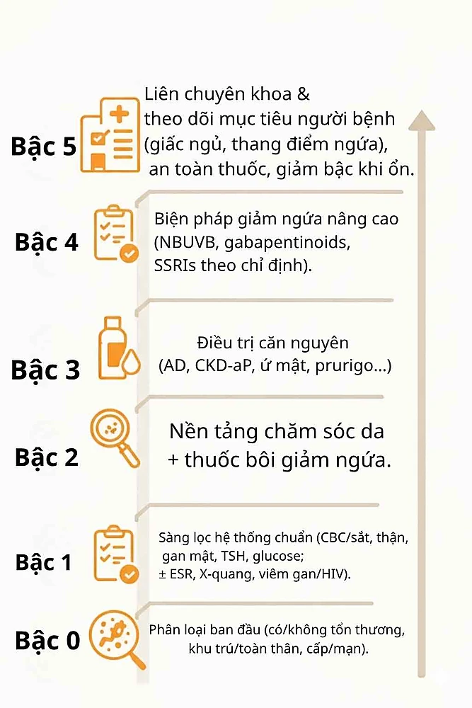 Thang 0–5 cho quản lý ngứa.