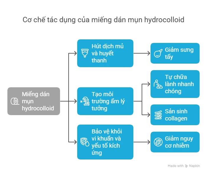 Cơ chế tác dụng của hydrocolloid