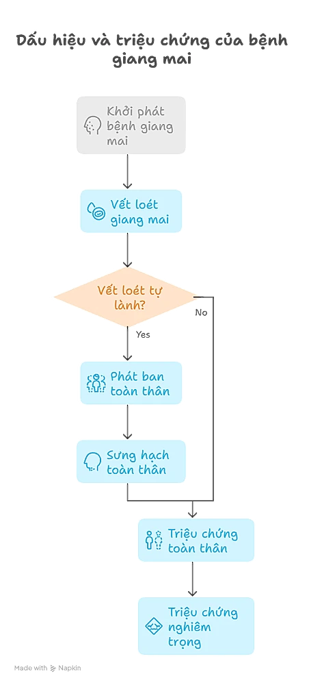 Dấu hiệu và triệu chứng của bệnh giang mai