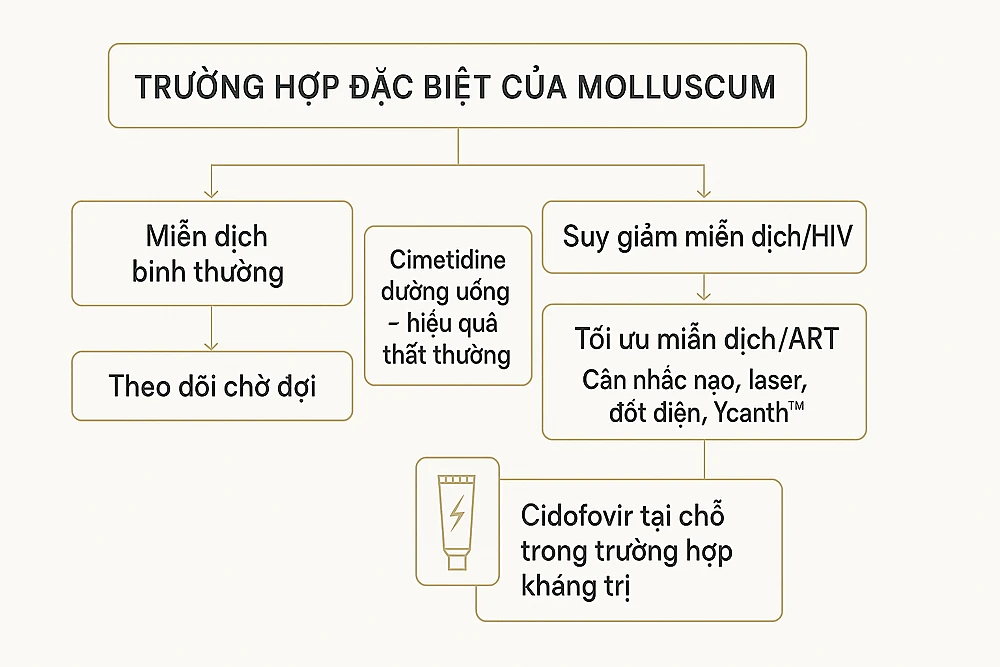 Sơ đồ xử trí u mềm lây ở ca đặc biệt: suy giảm miễn dịch/HIV cần tối ưu miễn dịch và can thiệp; cimetidine đường uống hiệu quả thất thường; cân nhắc cidofovir tại chỗ khi tái phát.