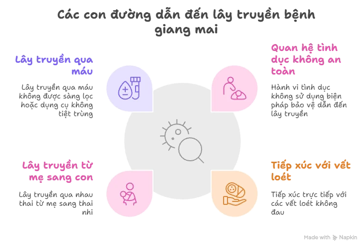 Các con đường dẫn đến lây truyền bệnh giang mai
