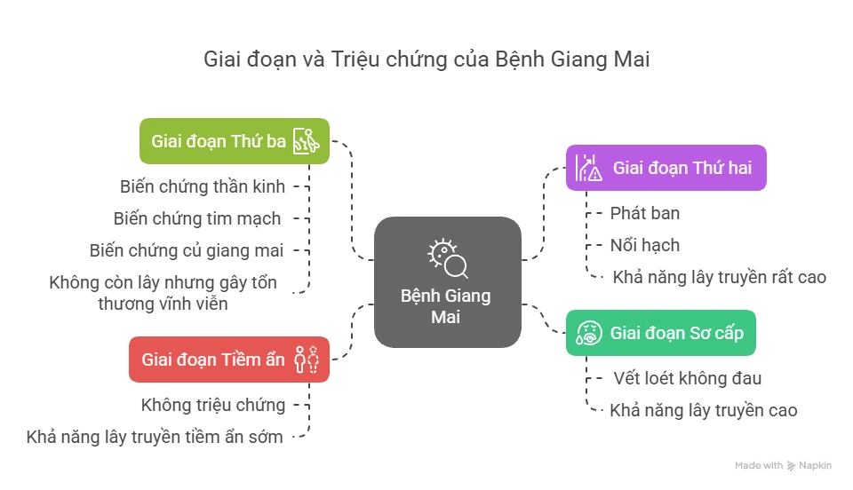 Giai Đoạn và Khả Năng Lây Truyền của Giang Mai