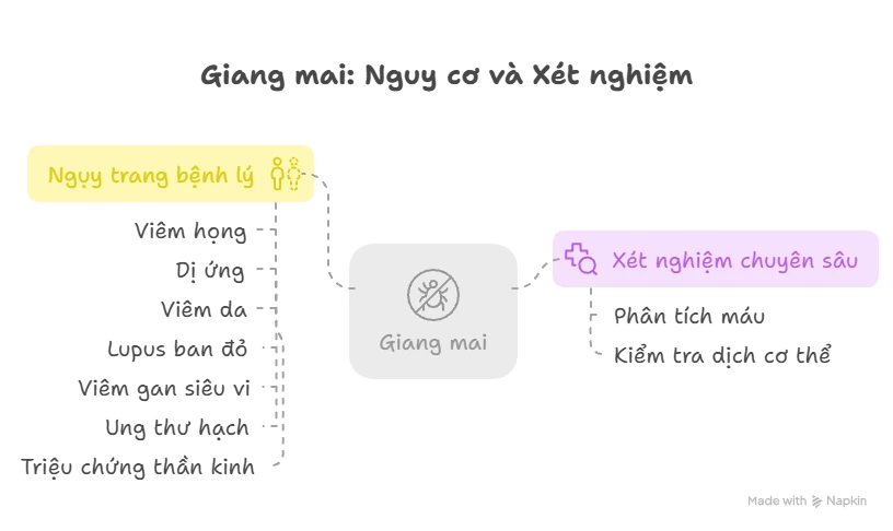 Giang Mai Kẽ Bắt Chước Bệnh Lý Đáng Sợ