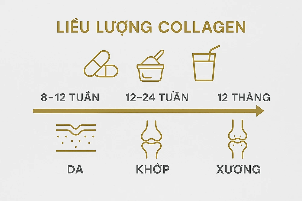 nfographic biểu đồ liều lượng collagen (2.5–15 g/ngày) theo mục tiêu da – khớp – xương và hướng dẫn chọn sản phẩm đạt chuẩn kiểm nghiệm.