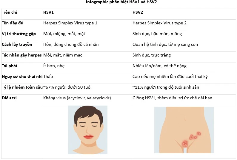 inforgraphic-phan-biet-hsv1-va-hsv2.jpg Infographic phân biệt HSV1 và HSV2