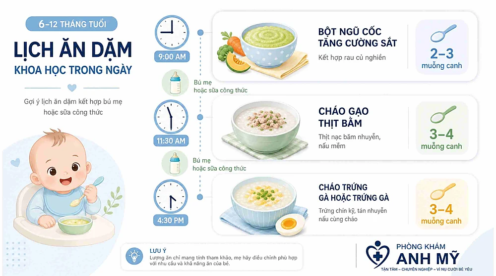 Lịch ăn dặm từ 6–12 tháng: ngũ cốc, thịt, rau, trái cây