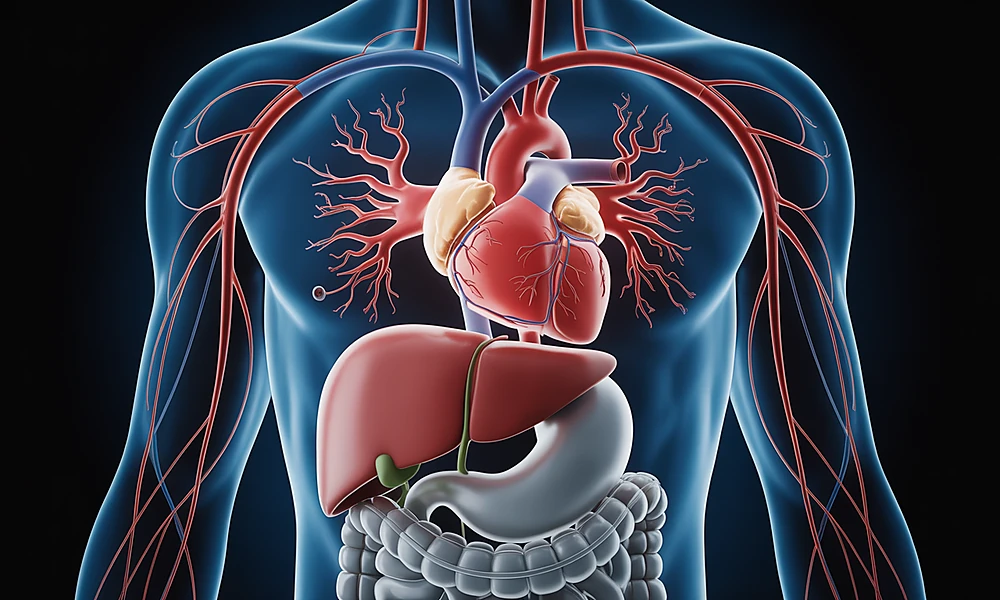 Minh họa mối liên hệ giữa rối loạn chuyển hóa hệ thống và bệnh lý da liễu.