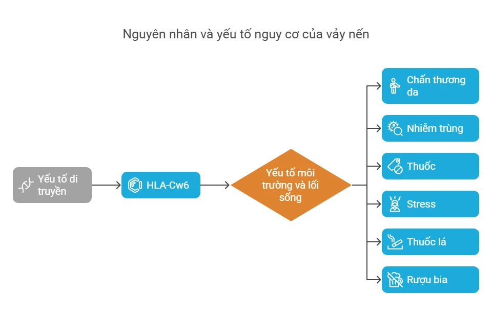 Nguyên nhân và yếu tố nguy cơ vảy nến