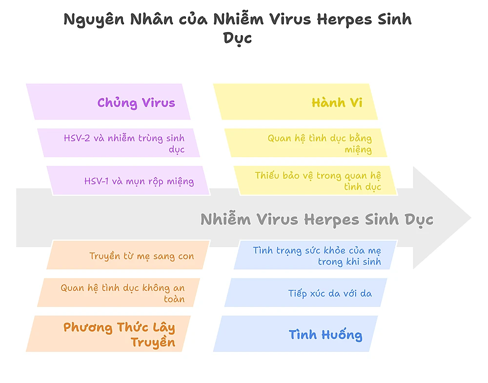 Nguyên Nhân Nhiễm Virus Herpes
