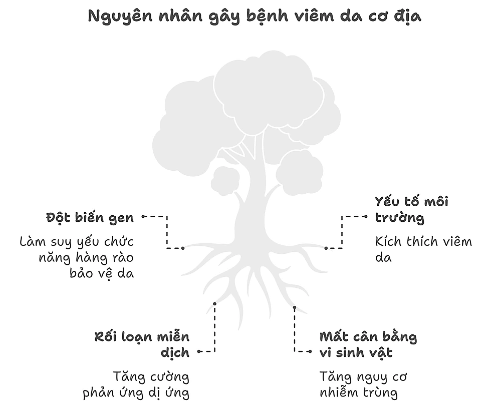 Nguyên Nhân Viêm Da Cơ Địa