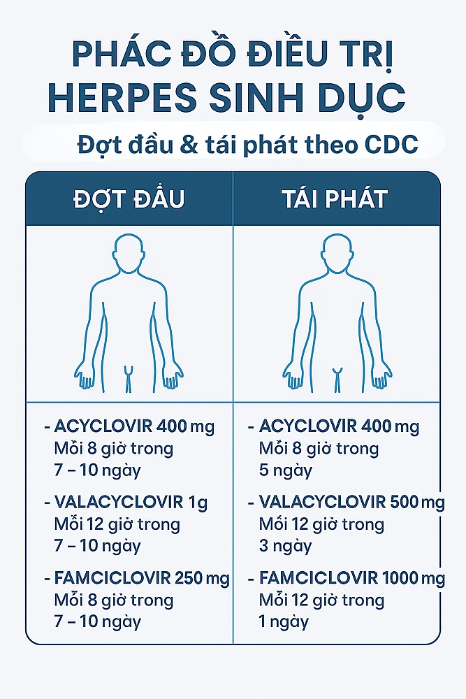 phac-do-dieu-tri-herpes-sinh-duc-theo-cdc.png Phác đồ điều trị Herpes sinh dục đợt đầu và tái phác theo CDC
