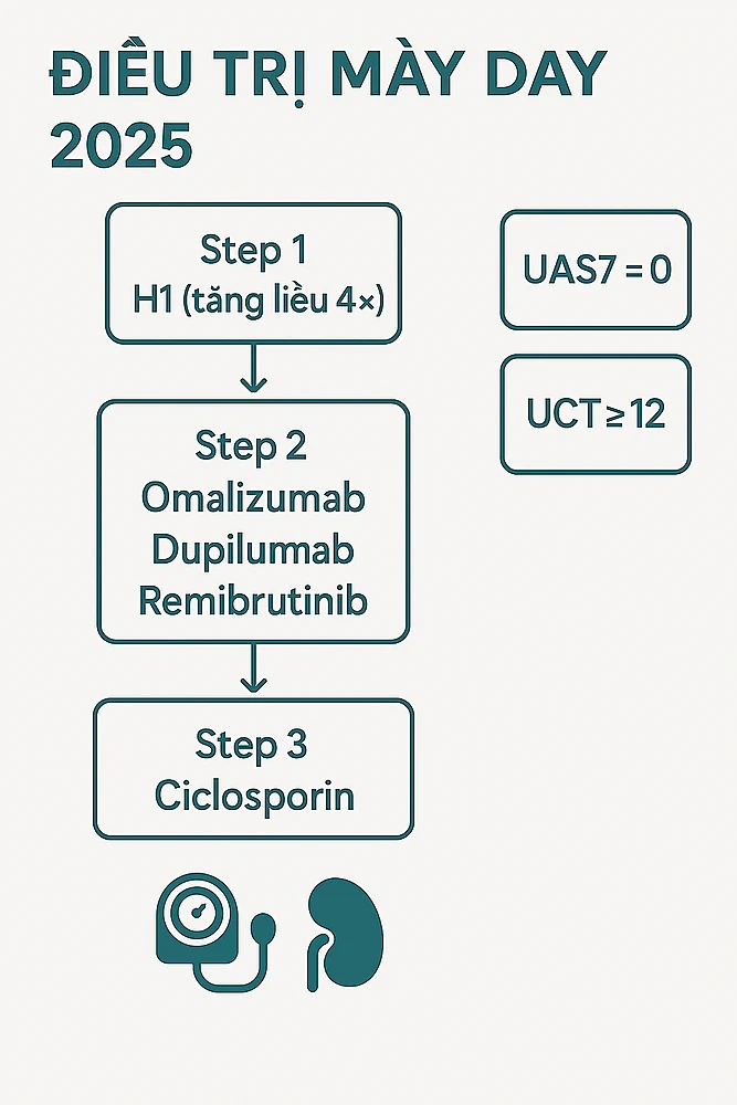Sơ đồ điều trị mày đay 2025: khởi H1, tăng liều 4×; chọn omalizumab, dupilumab hoặc remibrutinib; kháng trị dùng ciclosporin; mục tiêu UAS7=0, UCT≥12; nhắc an toàn.