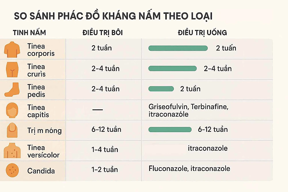 Infographic tổng hợp phác đồ điều trị nhiễm nấm da theo từng thể bệnh: thuốc bôi, thuốc uống, thời gian và lưu ý.