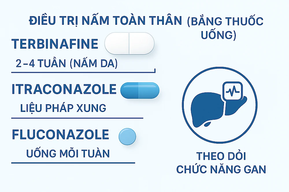 Infographic phác đồ thuốc uống điều trị nhiễm nấm da: terbinafine, itraconazole, fluconazole và thời gian dùng tương ứng.