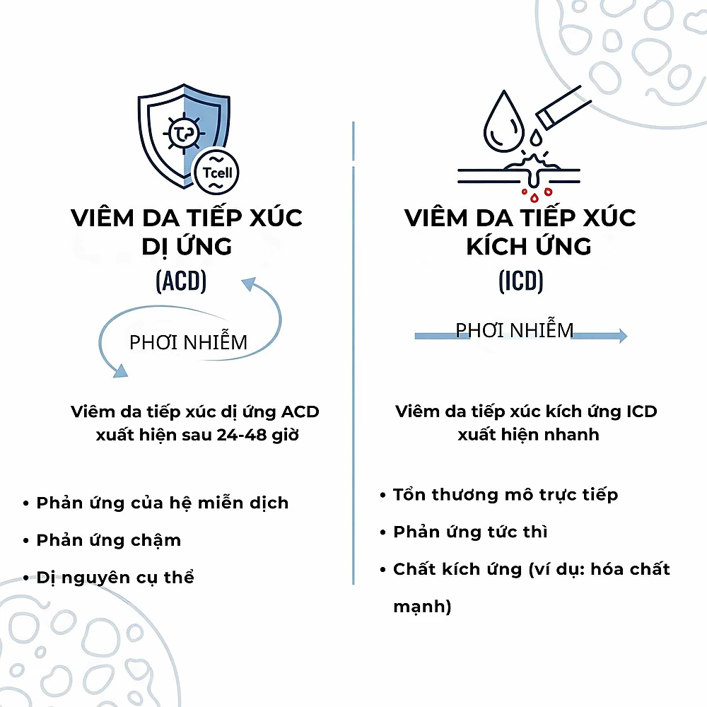 Phân biệt viêm da tiếp xúc dị ứng và kích ứng là bước đầu tiên để điều trị đúng hướng.
