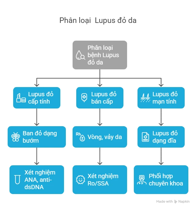 Phân Loại Lupus Đỏ Da