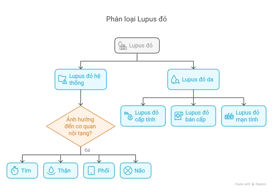 Phân Loại Lupus Đỏ