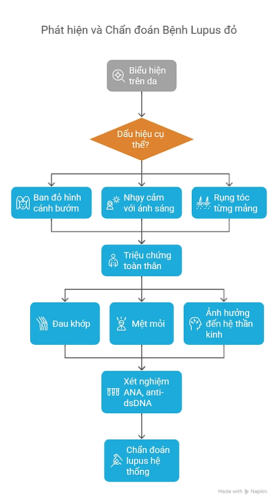 Phát Hiện và Chẩn Đoán Lupus Đỏ