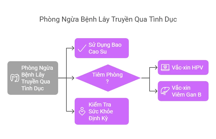 Phòng Ngừa STD