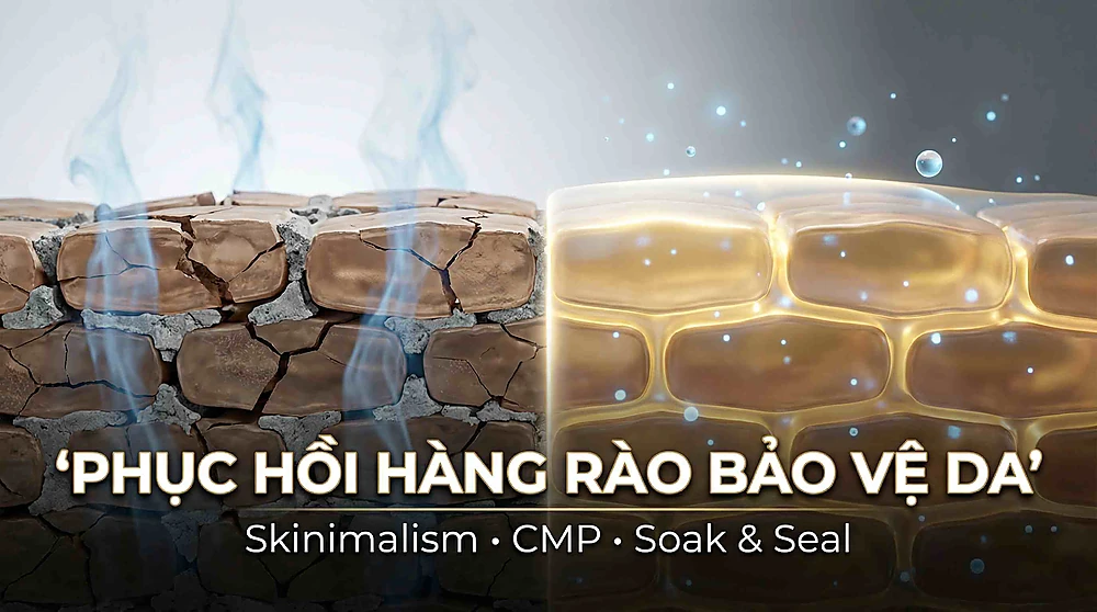 Mô phỏng phục hồi hàng rào bảo vệ da: giảm mất nước TEWL, tái tạo lipid gian bào và cân bằng vi sinh