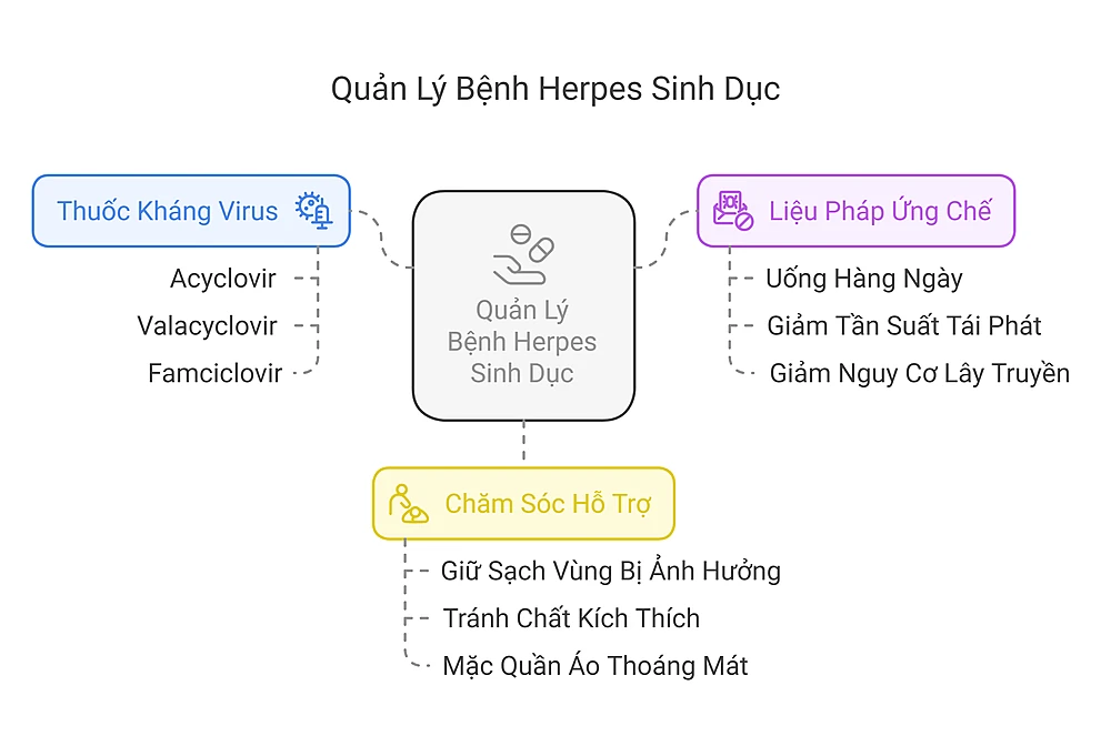 Quản Lý Herpes Sinh Dục