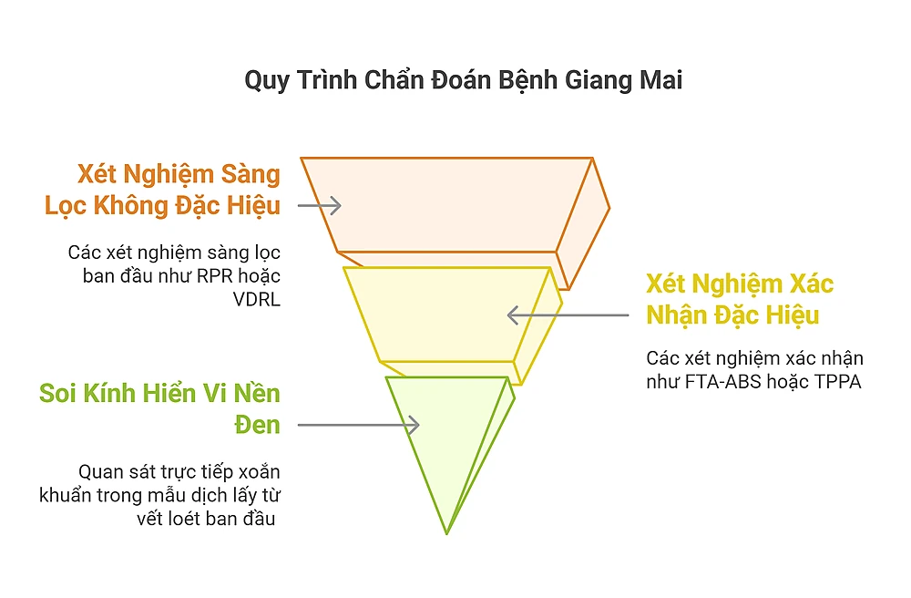 Qui Trình Chẩn Đoán Bệnh Giang Mai