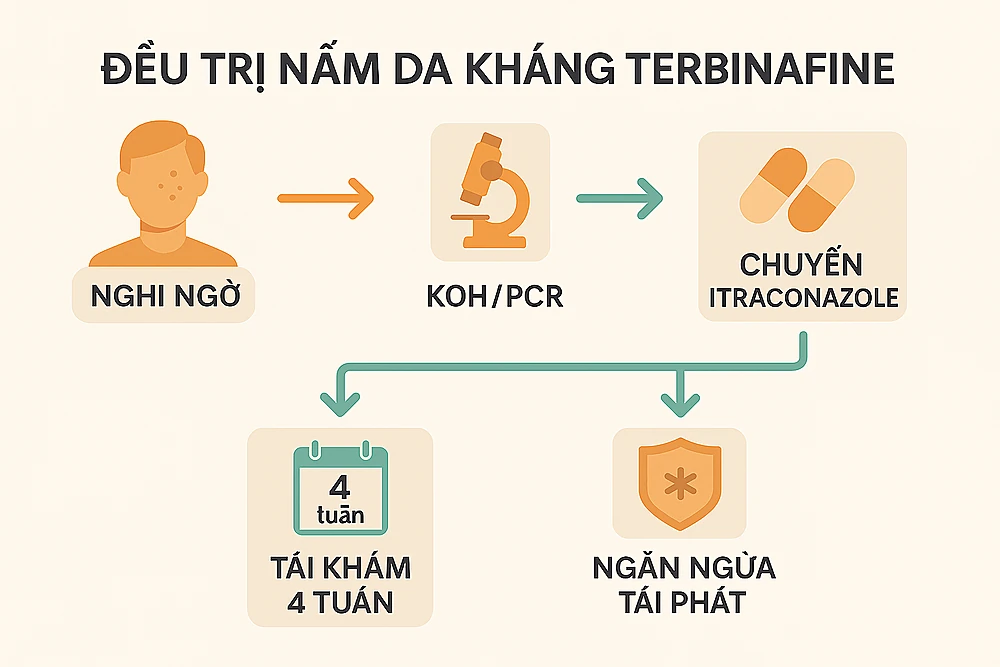 Sơ đồ thuật toán điều trị nhiễm nấm da kháng terbinafine (T. indotineae): chuyển sang itraconazole và theo dõi đáp ứng.