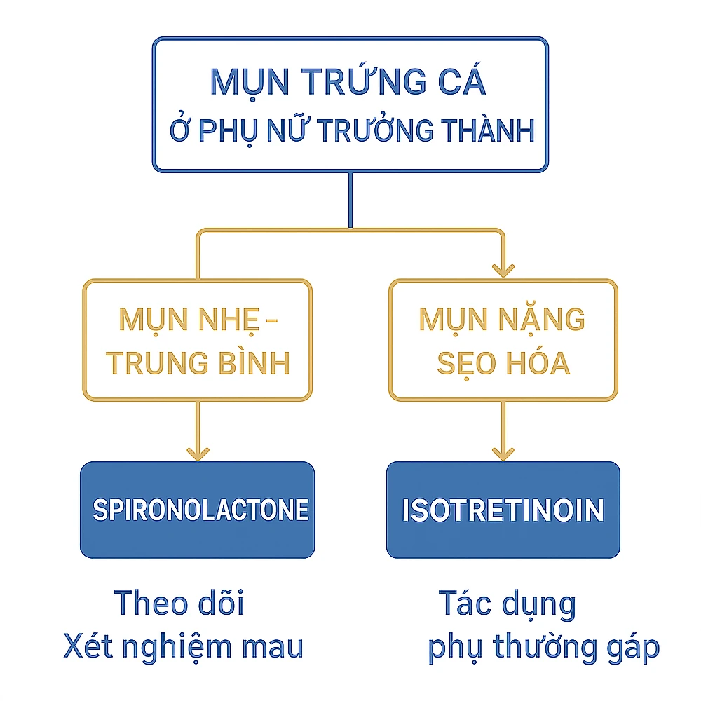 so-do-quyet-dinh-spironolactone-va-isotretinoin-mun-trung-ca-nu-2.png Lưu đồ minh họa cách chọn Spironolactone hoặc Isotretinoin dựa theo mức độ mụn và yếu tố nội tiết.