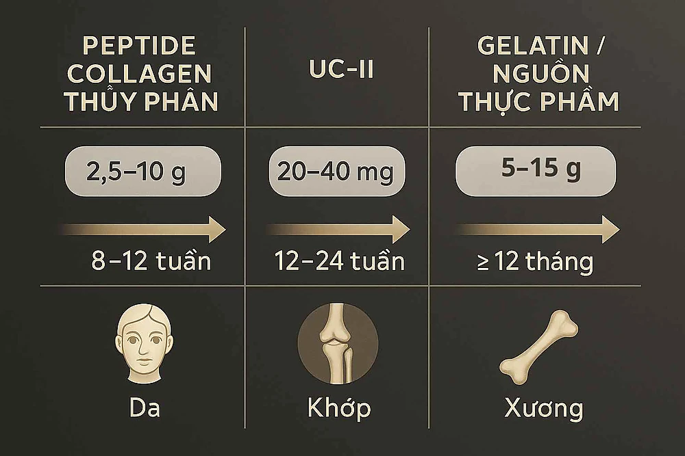 Infographic so sánh ba dạng collagen đường uống (peptide, UC-II, gelatin/thực phẩm) về hiệu quả da, khớp, xương, liều và độ dài liệu trình.