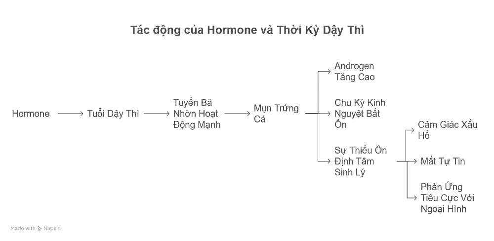 Tác động của Hormone và Thời Kỳ Dậy Thì Vào Cào Xước