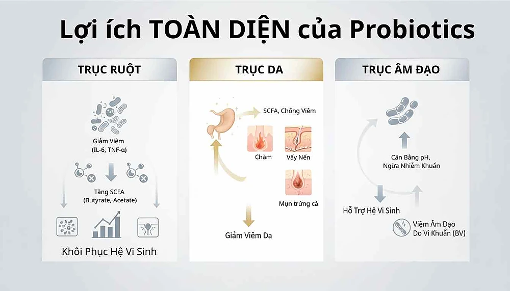 Minh hoạ tổng quan tác dụng của probiotic: cân bằng vi sinh, tăng SCFA, giảm viêm hệ thống, cải thiện da (AD, mụn, vảy nến) và âm đạo (BV).