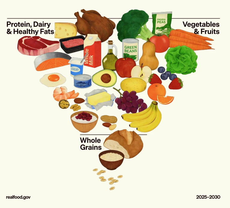 Minh họa đồ họa tháp dinh dưỡng hình tam giác ngược giai đoạn 2025-2030 từ realfood.gov. Phần đỉnh rộng nhất bao gồm Protein, Sữa, Chất béo lành mạnh (thịt, cá, trứng, bơ), Rau và Trái cây. Phần đáy hẹp nhất chứa Ngũ cốc nguyên hạt, biểu thị nhóm thực phẩm nên ăn ít nhất.