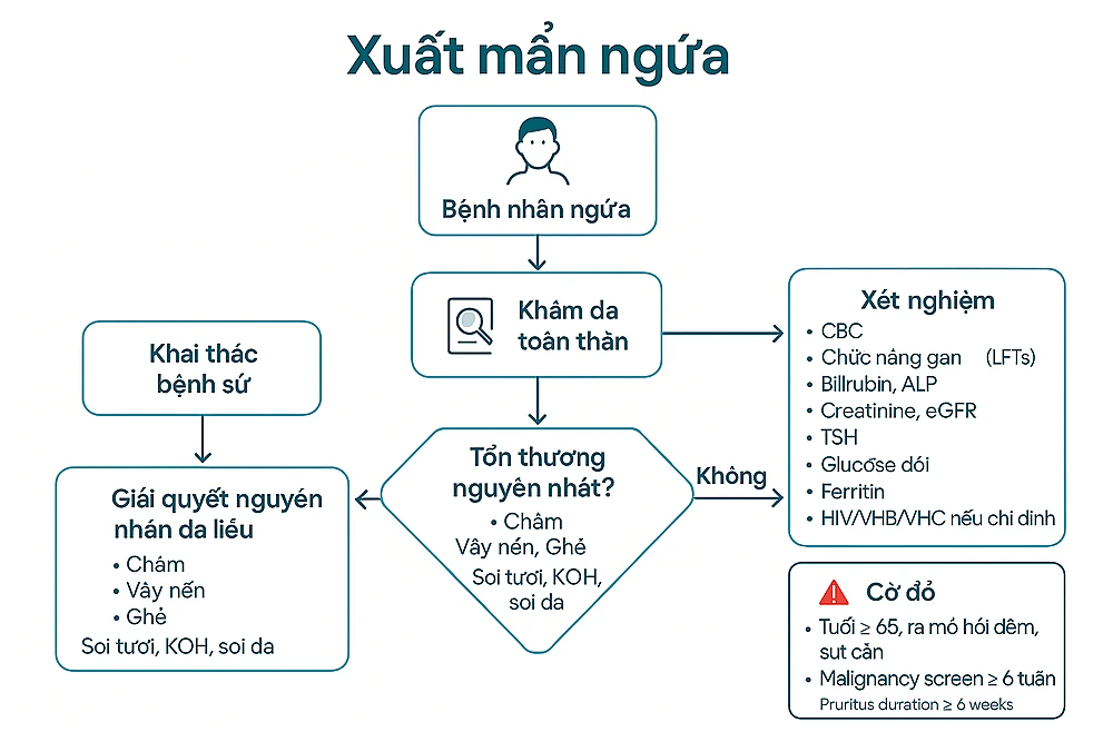 Lưu đồ hỏi bệnh, khám và xét nghiệm ngứa.