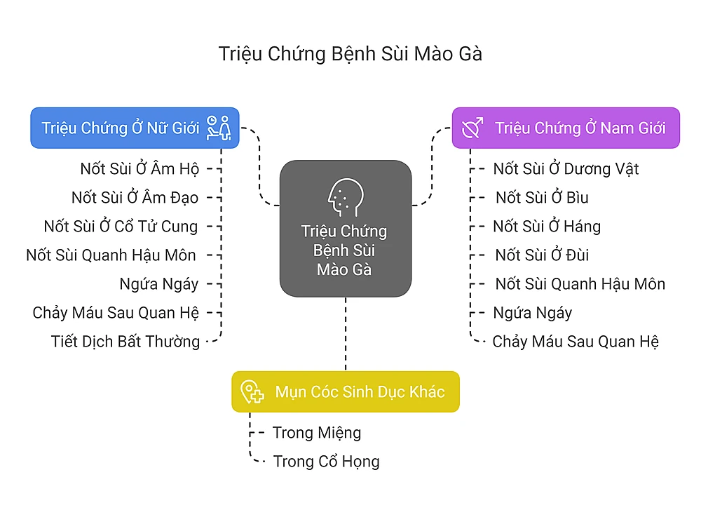 Triệu Chứng Bệnh Sùi Mào Gà