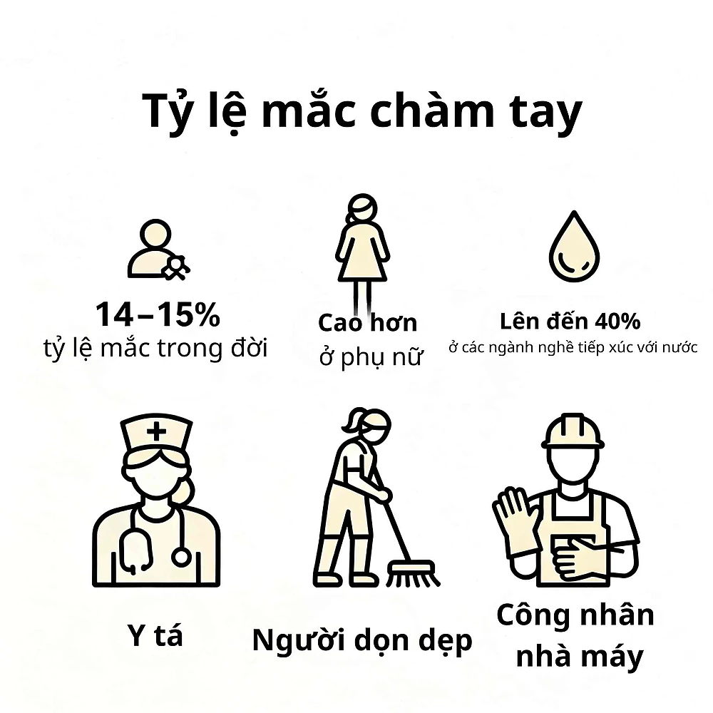 Biểu đồ tỷ lệ chàm tay trong dân số, nữ giới và nghề nghiệp nguy cơ.