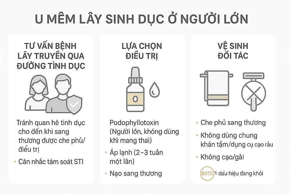 Infographic u mềm lây sinh dục ở người lớn: tư vấn STI (kiêng quan hệ đến khi che phủ/điều trị, tầm soát STI), lựa chọn điều trị podophyllotoxin–cryotherapy–curettage, và hướng dẫn che phủ/không dùng chung đồ, tránh cạo/gãi.