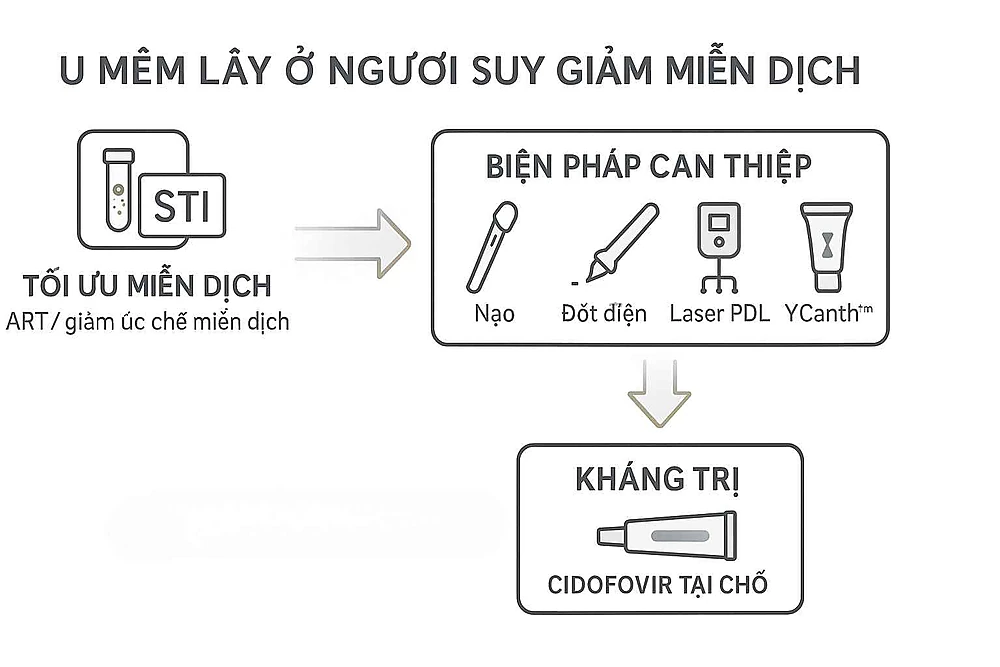 Sơ đồ xử trí u mềm lây ở người suy giảm miễn dịch/HIV: tối ưu miễn dịch hoặc ART, can thiệp tại cơ sở (curettage/đốt điện/laser/Ycanth™), và nhánh dự phòng cho ca tái phát bằng cidofovir tại chỗ; kèm biểu tượng sàng lọc HIV/STI.