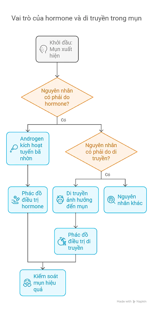 Vai Trò Của Hormone và Di Truyền Trong Việc Hình Thành Mụn