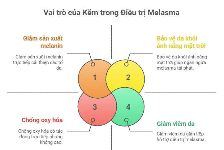 Sơ đồ minh họa 4 cơ chế tác động chính của Kẽm giúp cải thiện và ngăn ngừa nám da (Melasma) tái phát.