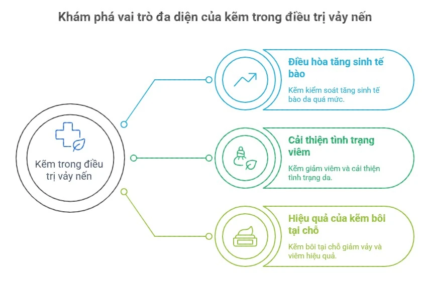 Hình ảnh mô tả vai trò của kẽm trong điều trị vảy nến, bao gồm việc điều hòa tăng sinh tế bào, cải thiện tình trạng viêm và hiệu quả khi sử dụng kẽm bôi tại chỗ.